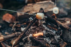 Marshmallows on a stick above camp fire