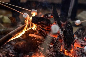 Roasting Marshmellows and Making Smores